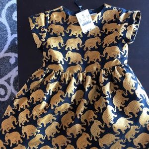 Crewcuts Toddler Dress size 2 NWT